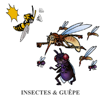 insectes-et-guepe